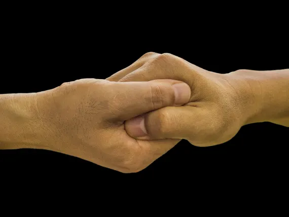 Casino Fortune Panda Suporte